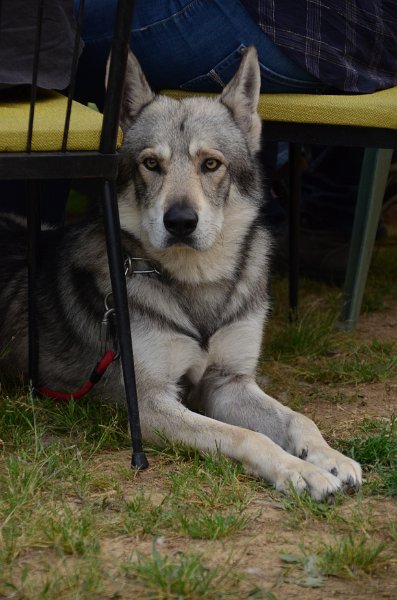 DSC_0101
