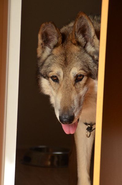 DSC_0126