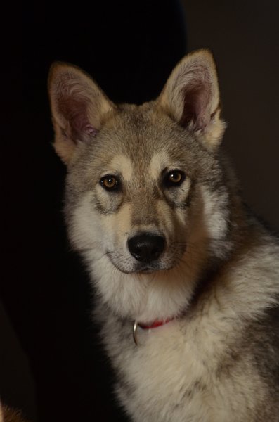 DSC_0128