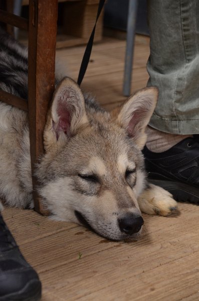 DSC_0629