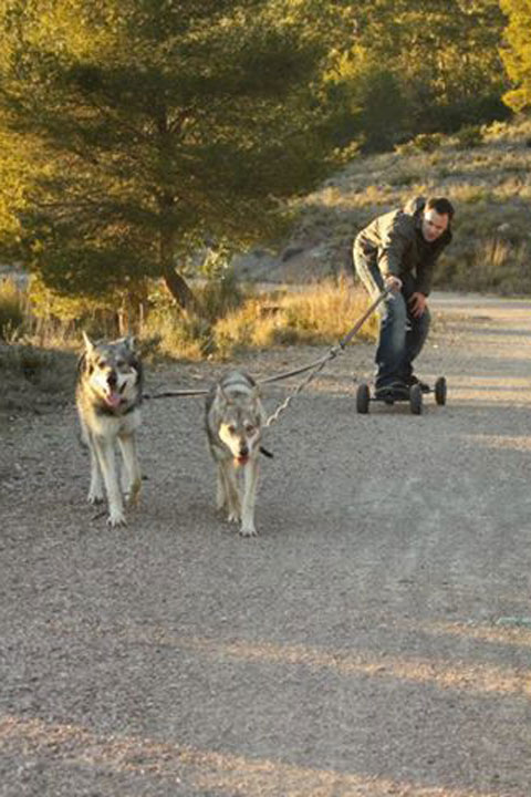 Mountain Skate.